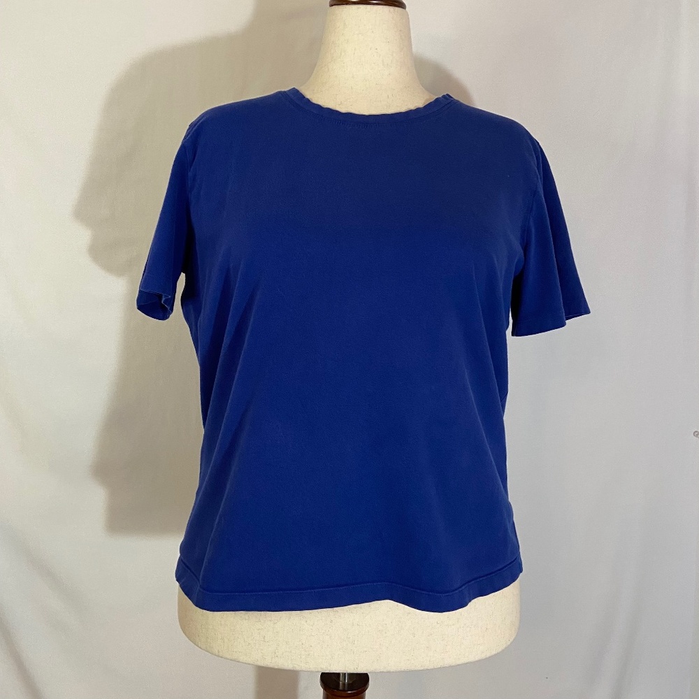 Tanzanite Blue Great Northwest Short Sleeve T-shirt Plus Size 1X